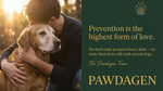 Pawdagen Daily Longevity Chews for Dogs, NMN, CoQ10 & Lion's Mane, 90 Soft Chews, Made in USA