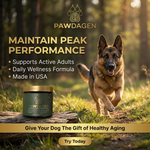 Pawdagen Daily Longevity Chews for Dogs, NMN, CoQ10 & Lion's Mane, 90 Soft Chews, Made in USA