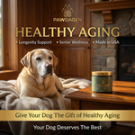 Pawdagen Daily Longevity Chews for Dogs, NMN, CoQ10 & Lion's Mane, 90 Soft Chews, Made in USA